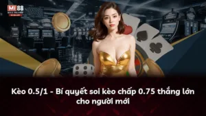 Kèo 0.5/1 – Bí quyết soi kèo chấp 0.75 thắng lớn cho người mới